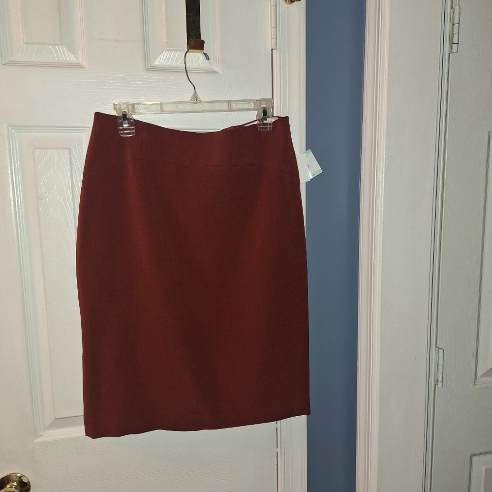 Elegant Rust Pencil Skirt**